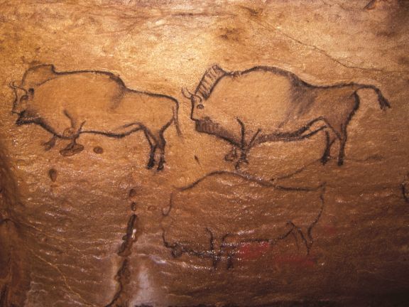 Cueva de La Covaciella