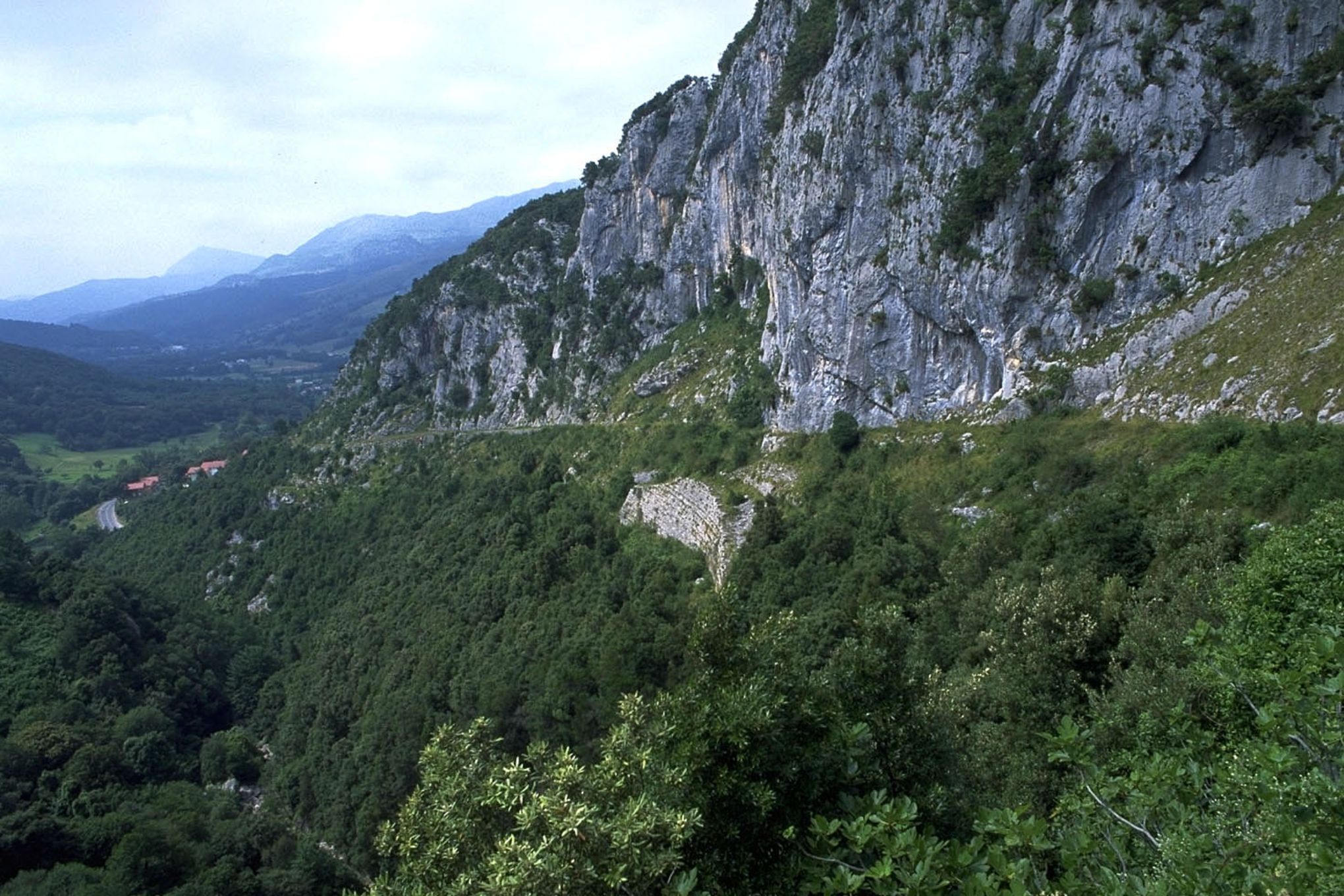 Covalanas Cave