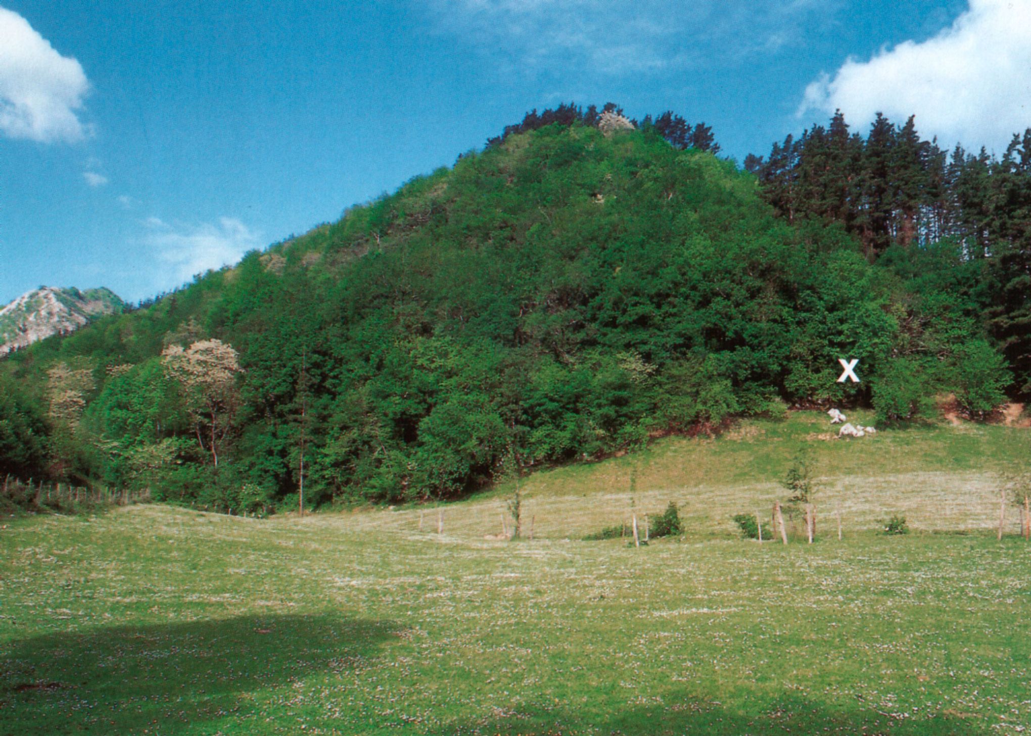 Cueva de Ekain