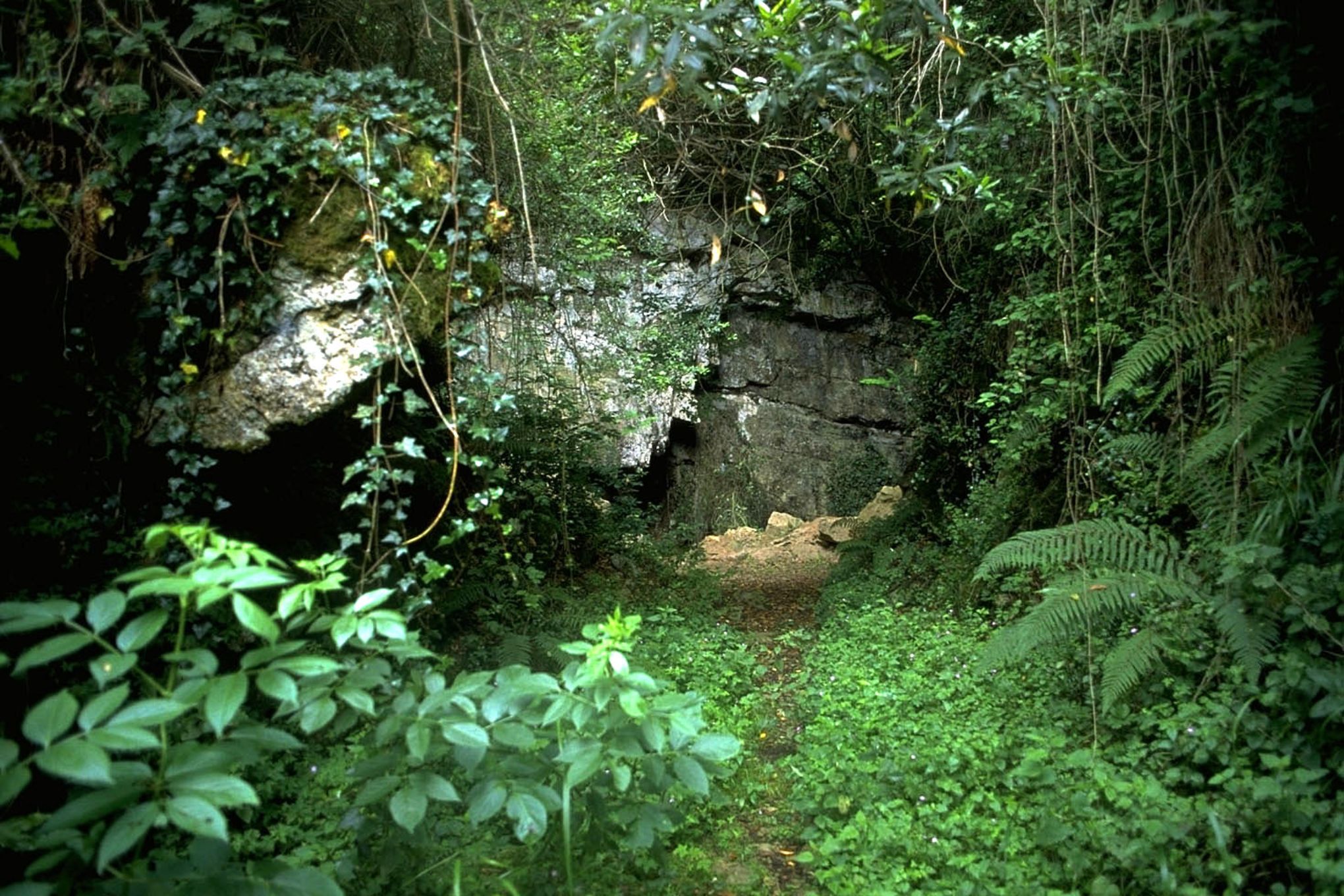 Entrada de la Cueva de El Pendo