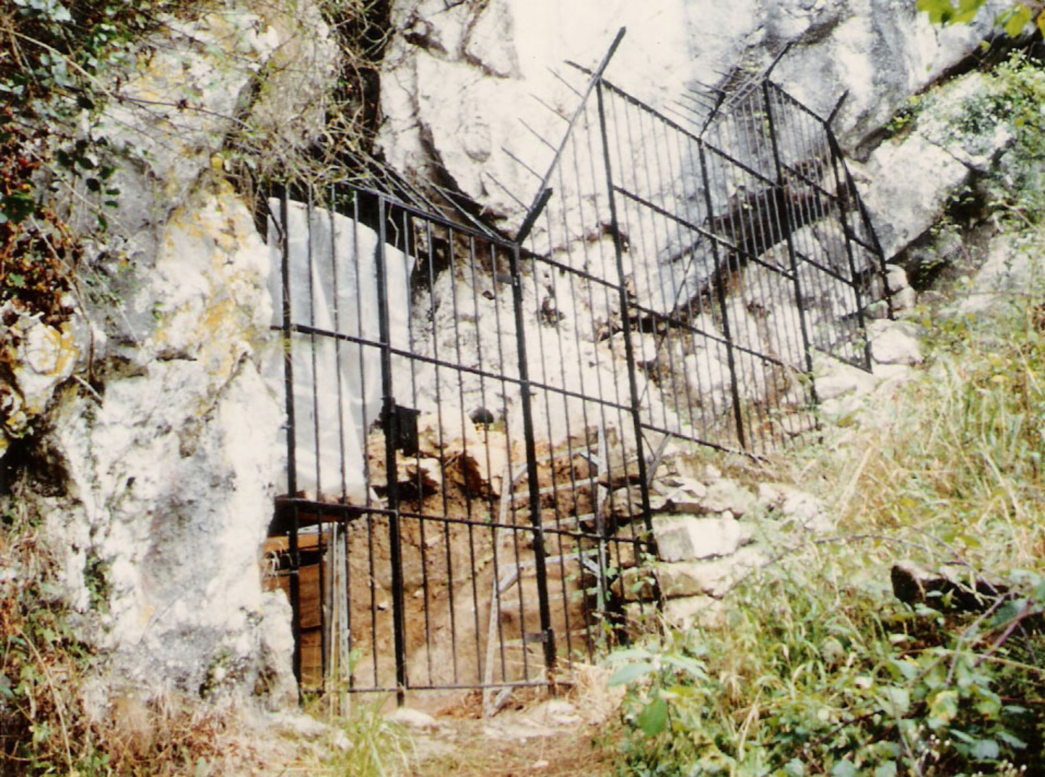 Llonín Cave