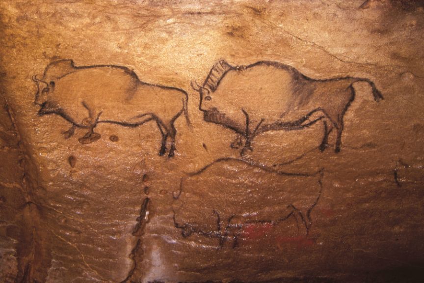 Bisontes de la Cueva de La Covaciella