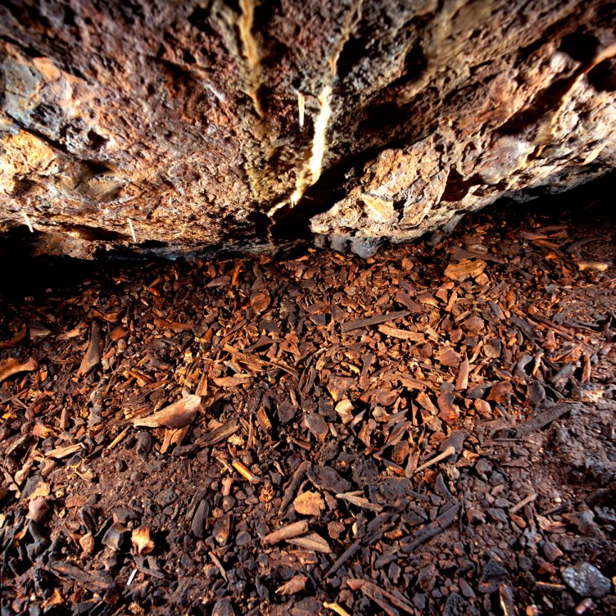 Cueva de La Garma – Galería inferior