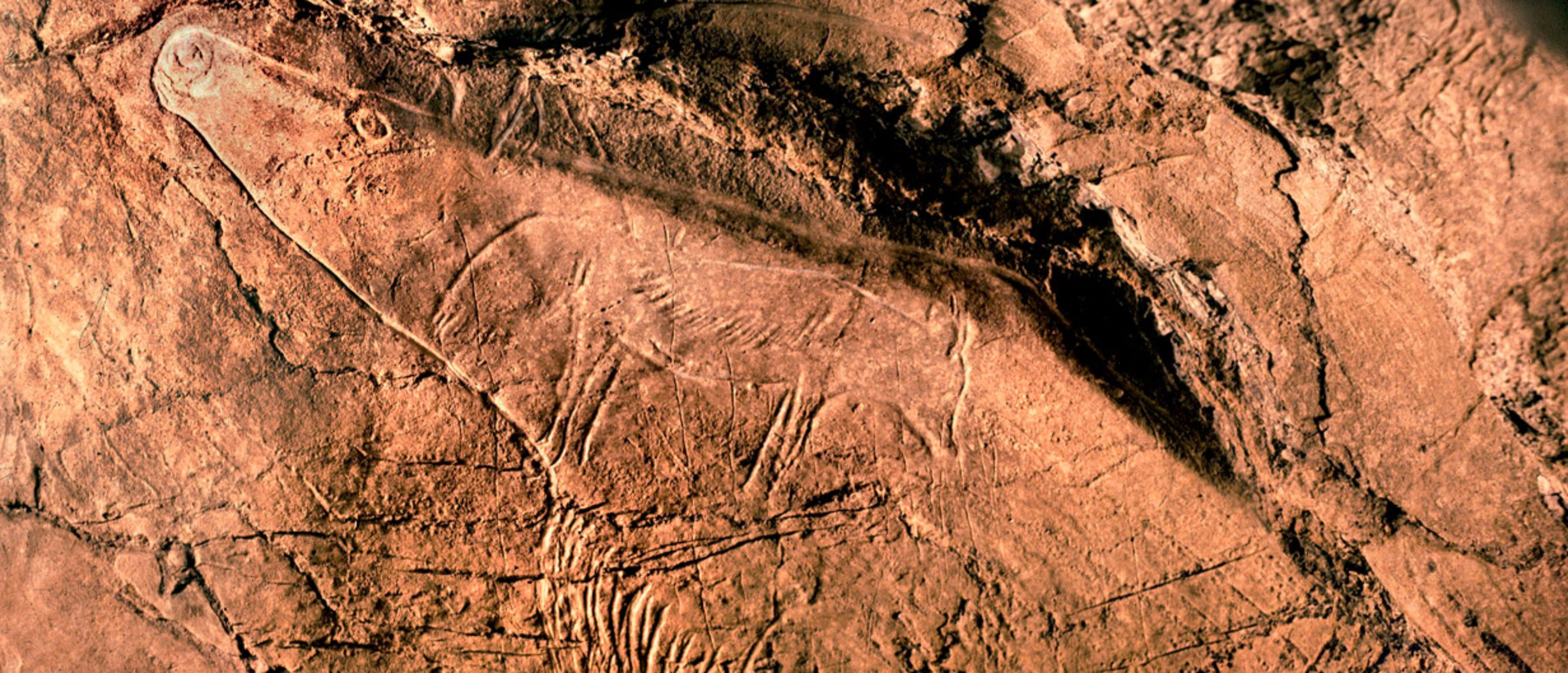 Cueva de Altxerri