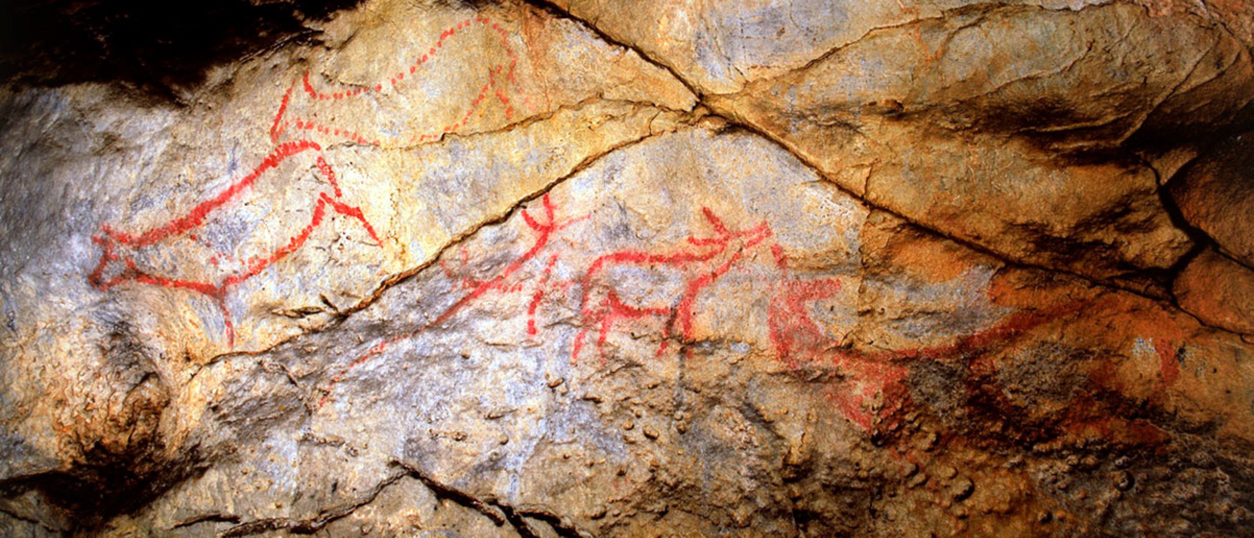 Cueva de Covalanas